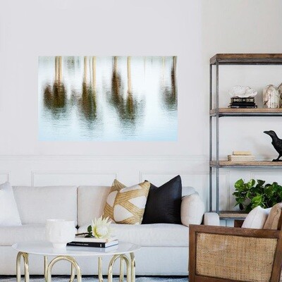 Palms in the Water