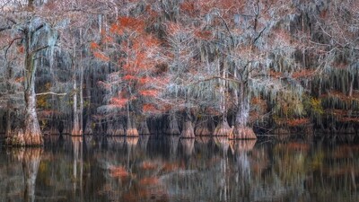 Fall in the Bayou