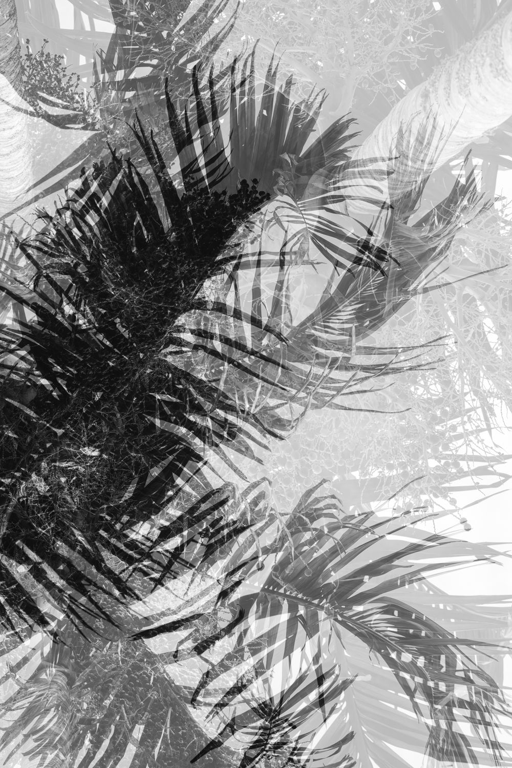 Tropical Storm 1