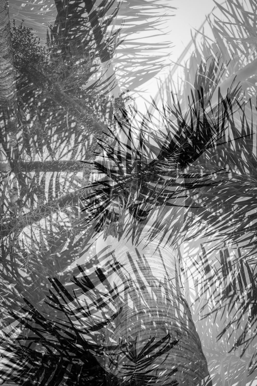 Tropical Storm 2