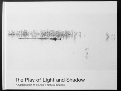 The Play of Light and Shadow