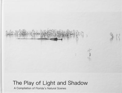 The Play of Light and Shadow