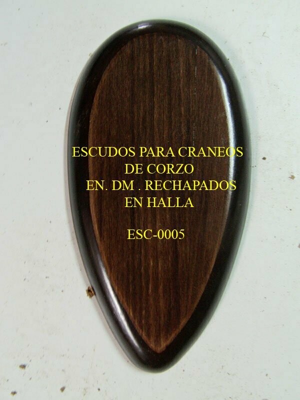 ESCUDO DE CRANEO DE CORZO