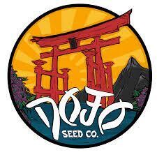 Dojo Seed Co. Daft Chav 5pk Fem. Seeds