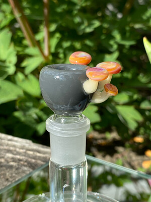 Voj Glass Mushroom Slide