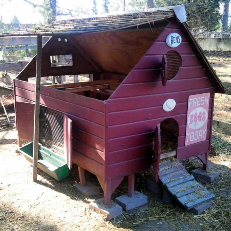 New England Chicken Coop Plans - Instant Download