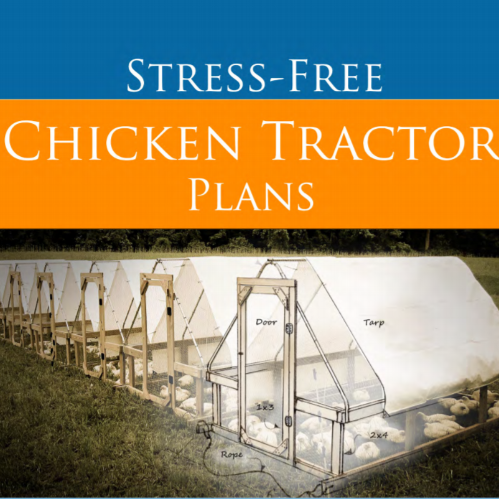 Products — Meyer Hatchery