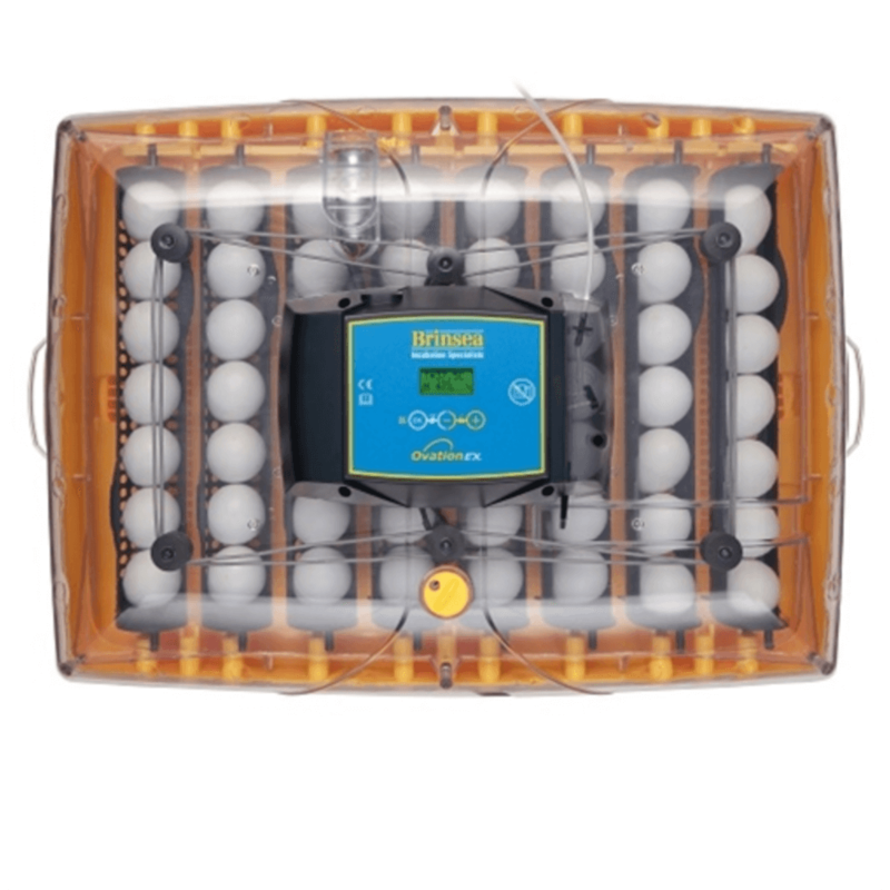 Brinsea Ovation 56 Advance Digital Egg Incubator