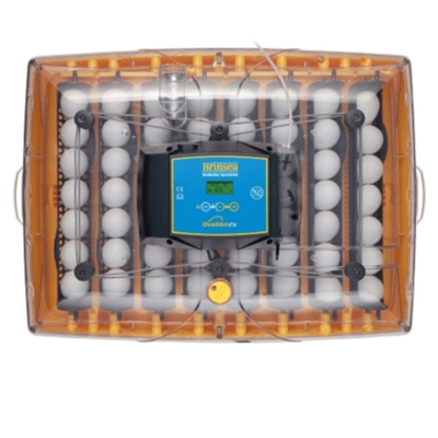 Brinsea Ovation 56 Advance Digital Egg Incubator