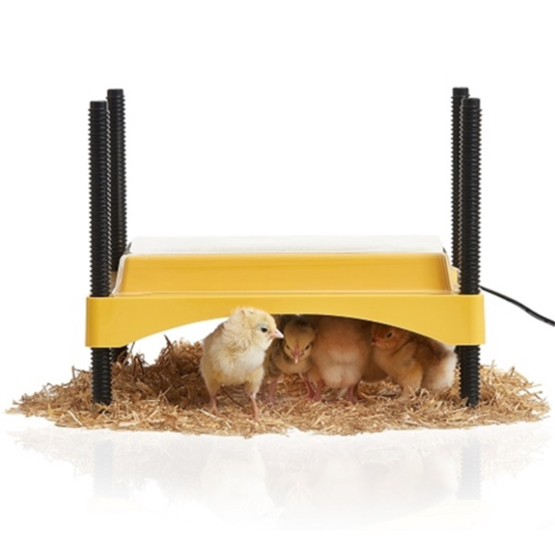 Brinsea EcoGlow Safety 600 Brooder Plate
