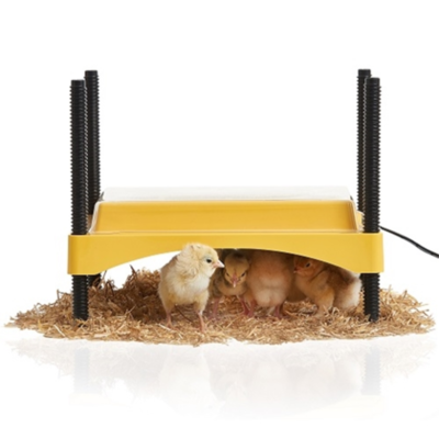 Brinsea EcoGlow Safety 600 Brooder Plate