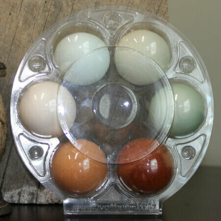 Clear Round 6-Count Egg Carton