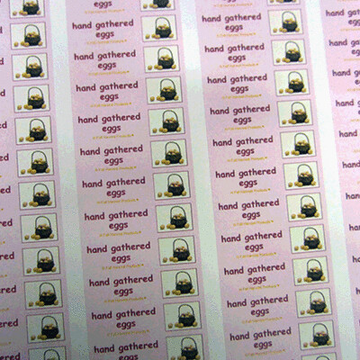 Hand Gathered Egg Carton Labels