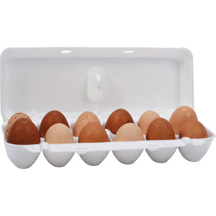 Jumbo Foam Egg Cartons