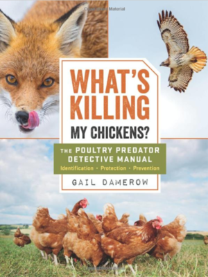 What's Killing My Chickens?