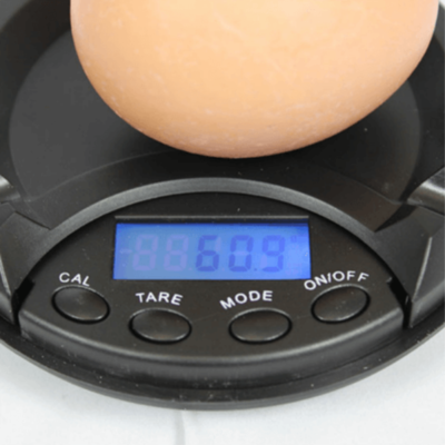 Digital Egg Scale