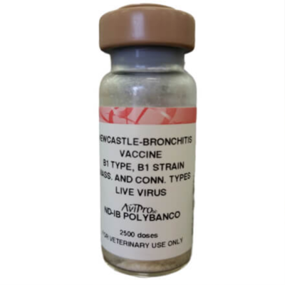 Newcastle-Bronchitis Vaccine