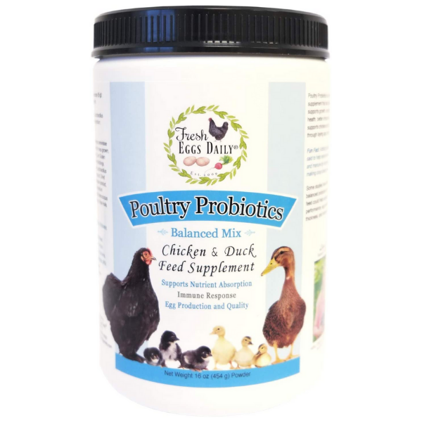 Fresh Eggs Daily Probiotics 16-ounce
