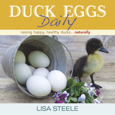 Duck Eggs Daily: Raising Happy, Healthy Ducks...Naturally