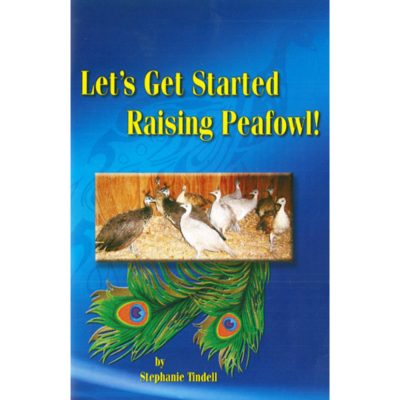Let's Get Started Raising Peafowl
