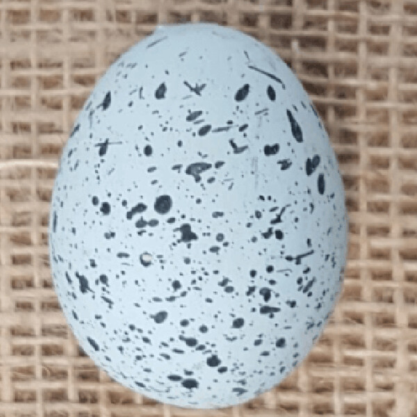 Ceramic Blue Speckled Egg - Meyer Hatchery