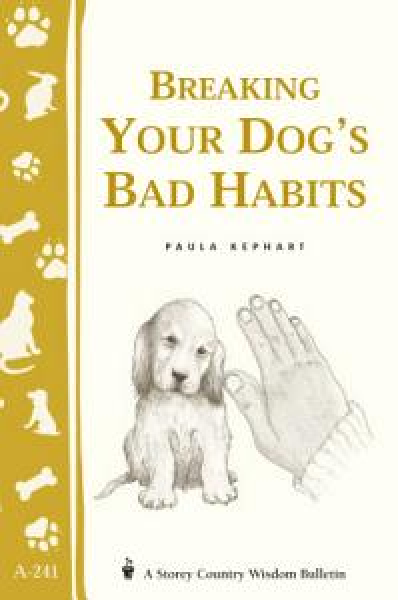 Breaking Your Dog's Bad Habits