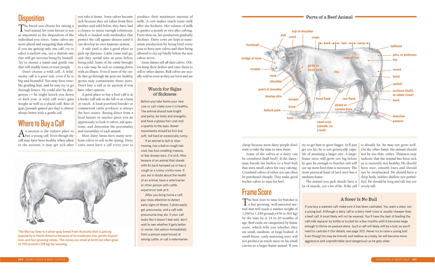 The Backyard Homestead Guide to Raising Farm Animals - Meyer Hatchery