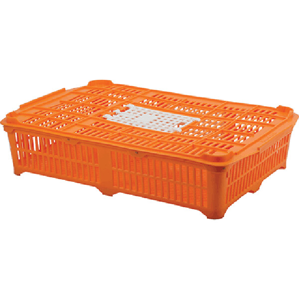 Quail Transportation Crate