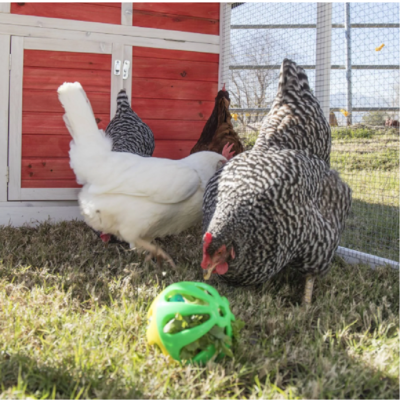 Peck N Play Ball