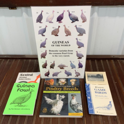Game Bird and Guinea Books
