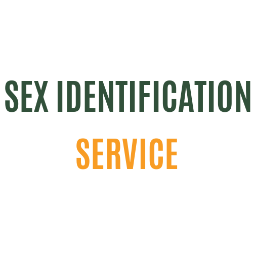Sex Identification Service - WHOLESALE CUSTOMERS ONLY