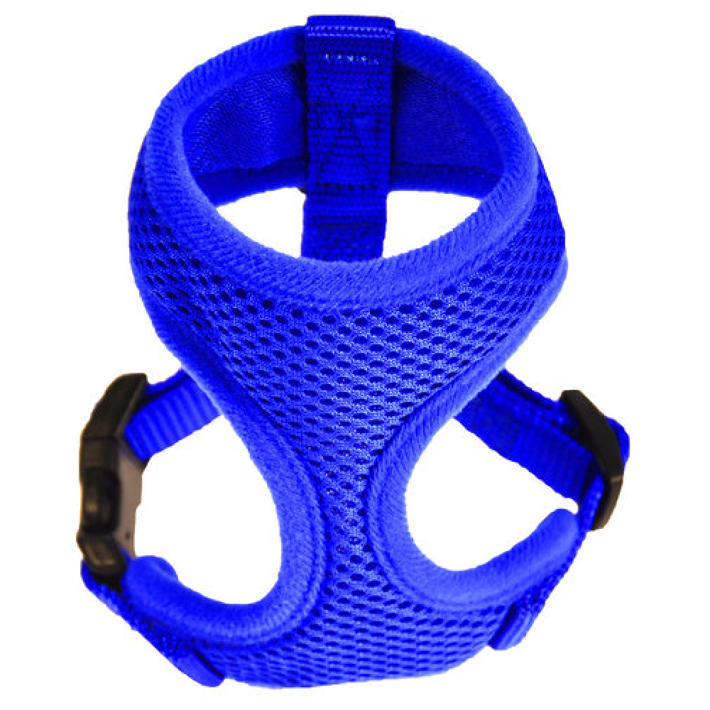 Chicken Harness, Size: Small, Color: Blue
