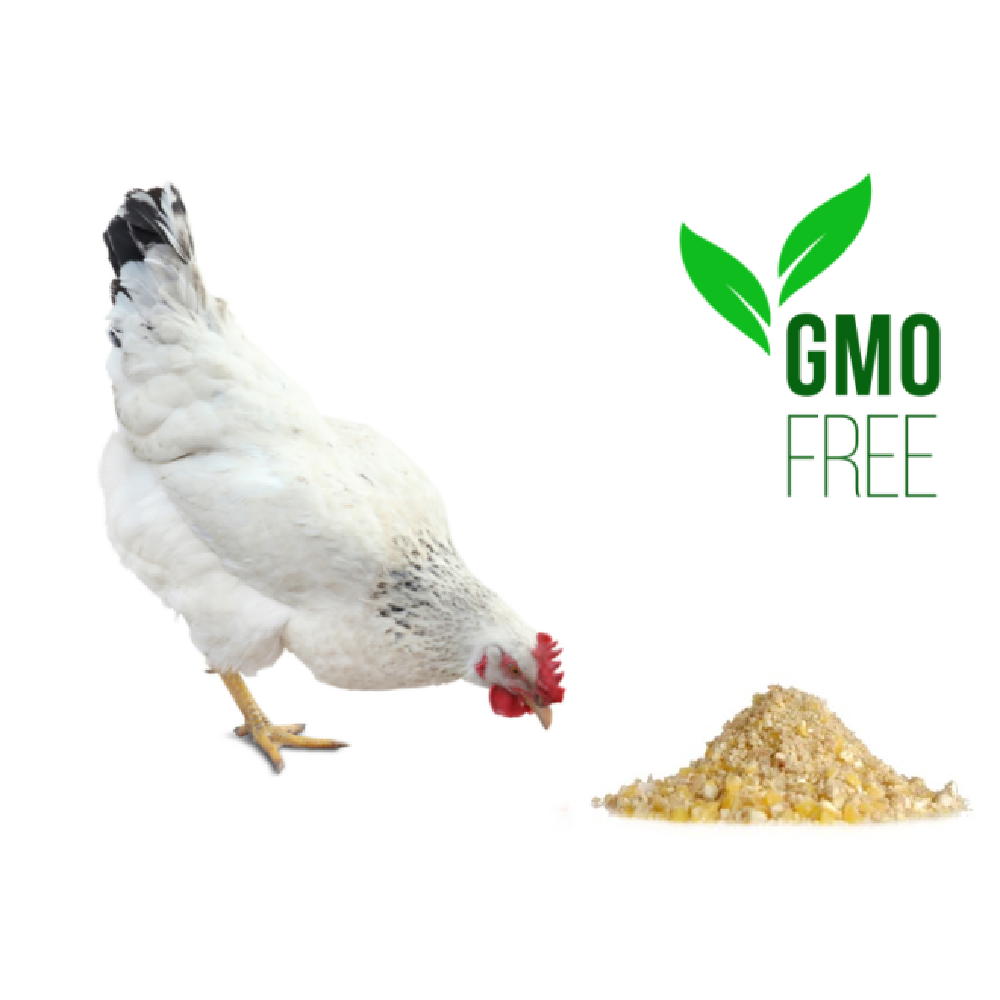 Non-GMO Meyer Hatchery Scratch Grains
