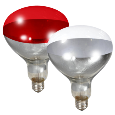 250-Watt Heat Bulb