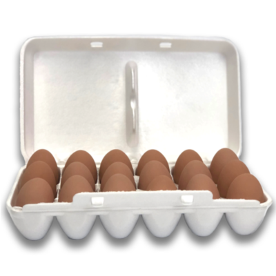 18-Egg Blank Styrofoam Egg Carton