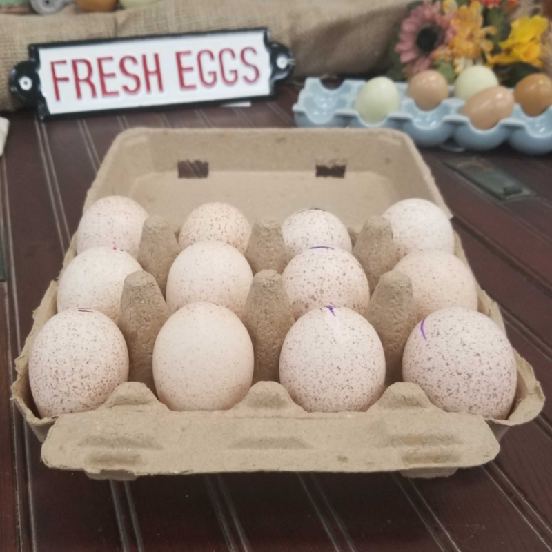 12Egg Jumbo/Duck Vintage Style Egg Carton