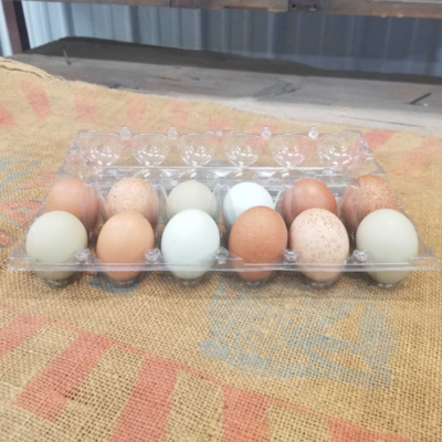 Clear Plastic Egg Cartons