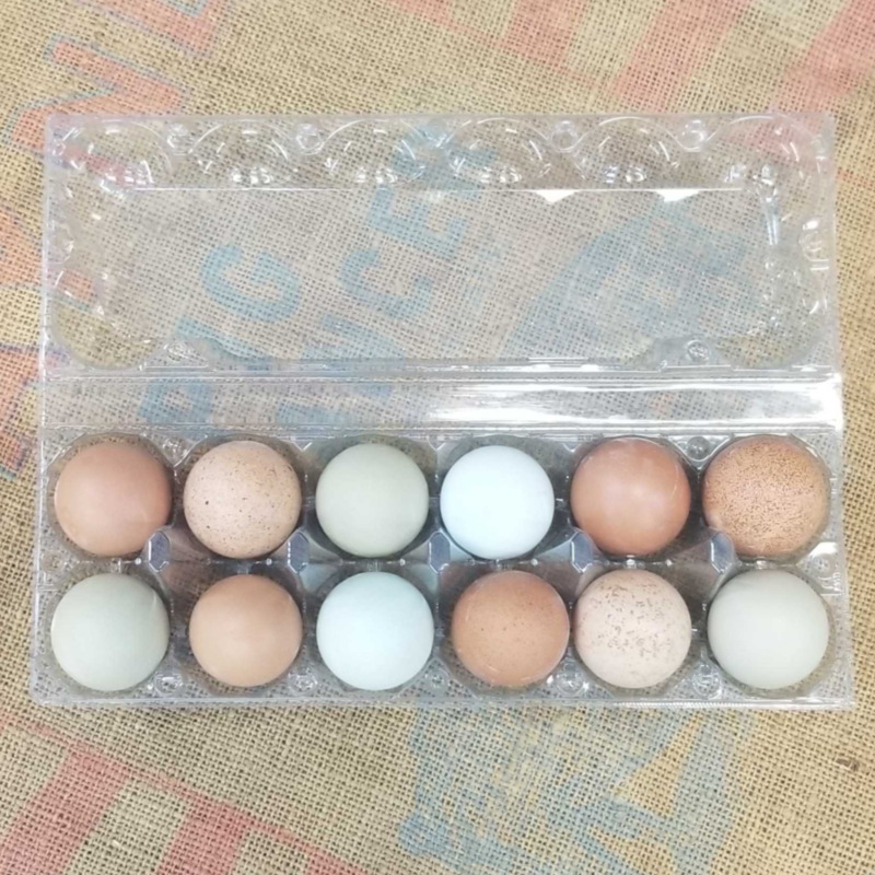 Clear Plastic Egg Cartons
