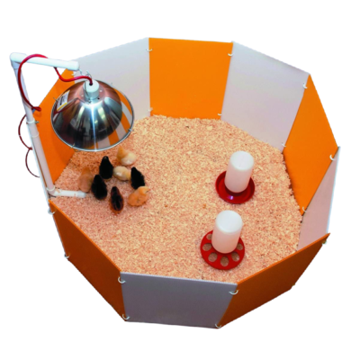 Baby Chick Starter Home Kit