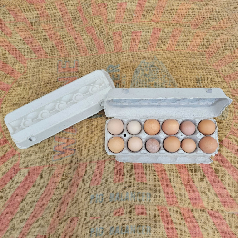Gray Paper Mache Egg Cartons