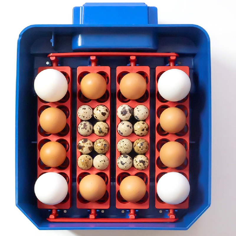 Borotto Lumia 16 Egg Auto Incubator with Humidity Pump