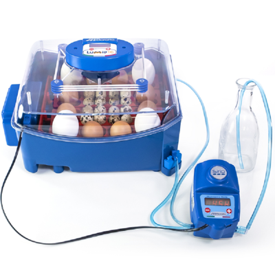 Borotto Lumia 16 Egg Auto Incubator with Humidity Pump