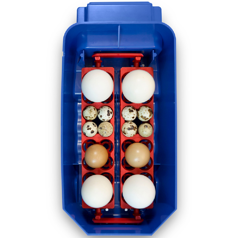 Borotto Lumia 8 Egg Incubator with Humidity Pump