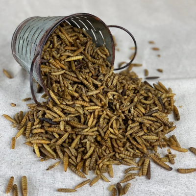 Happy Hen Grub Frenzy - Black Soldier Fly Larvae, 30-ounce bag