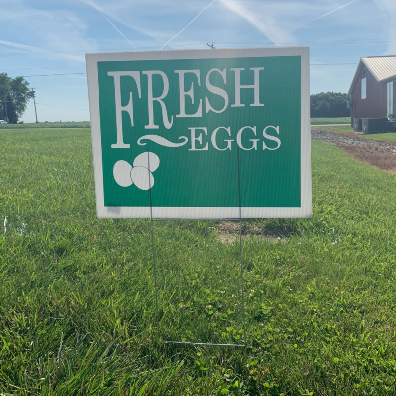 Fresh Eggs Green Corrugated Sign