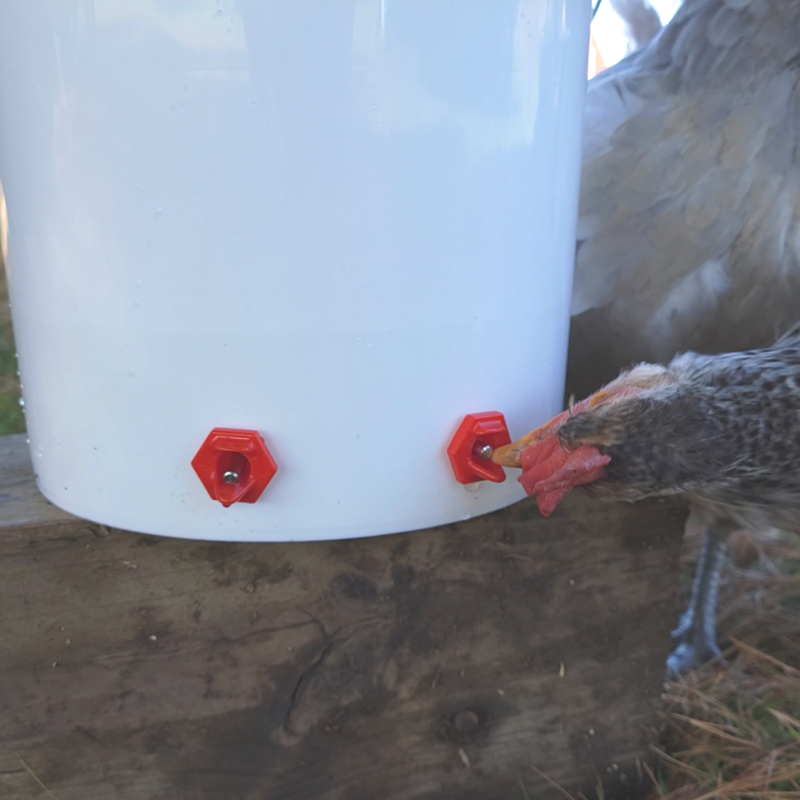 Freez Free Nipple Watering Valves, 4pack