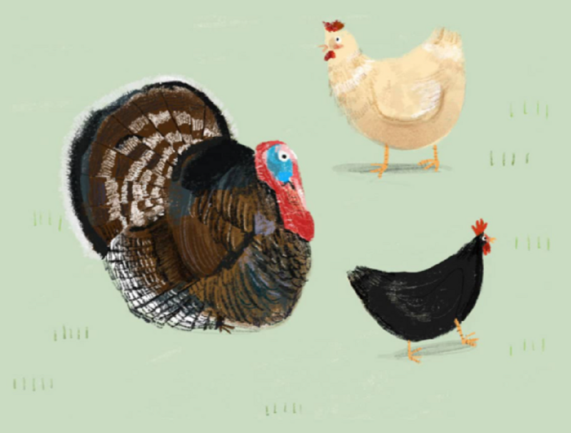The Farm That Feeds Us