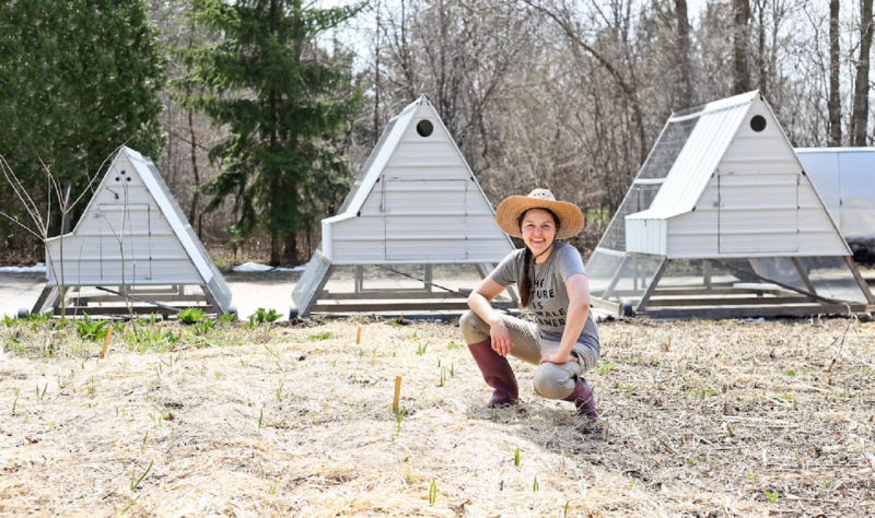 A-Frame Style Mini, Medium, and Mega Mobile Chicken Tractor Plans Bundle - Instant Download