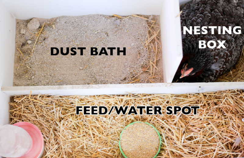 Broody Hen Coop Plans - Instant Download