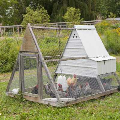 A-Frame Style Mini Mobile Chicken Tractor Plans - Instant Download